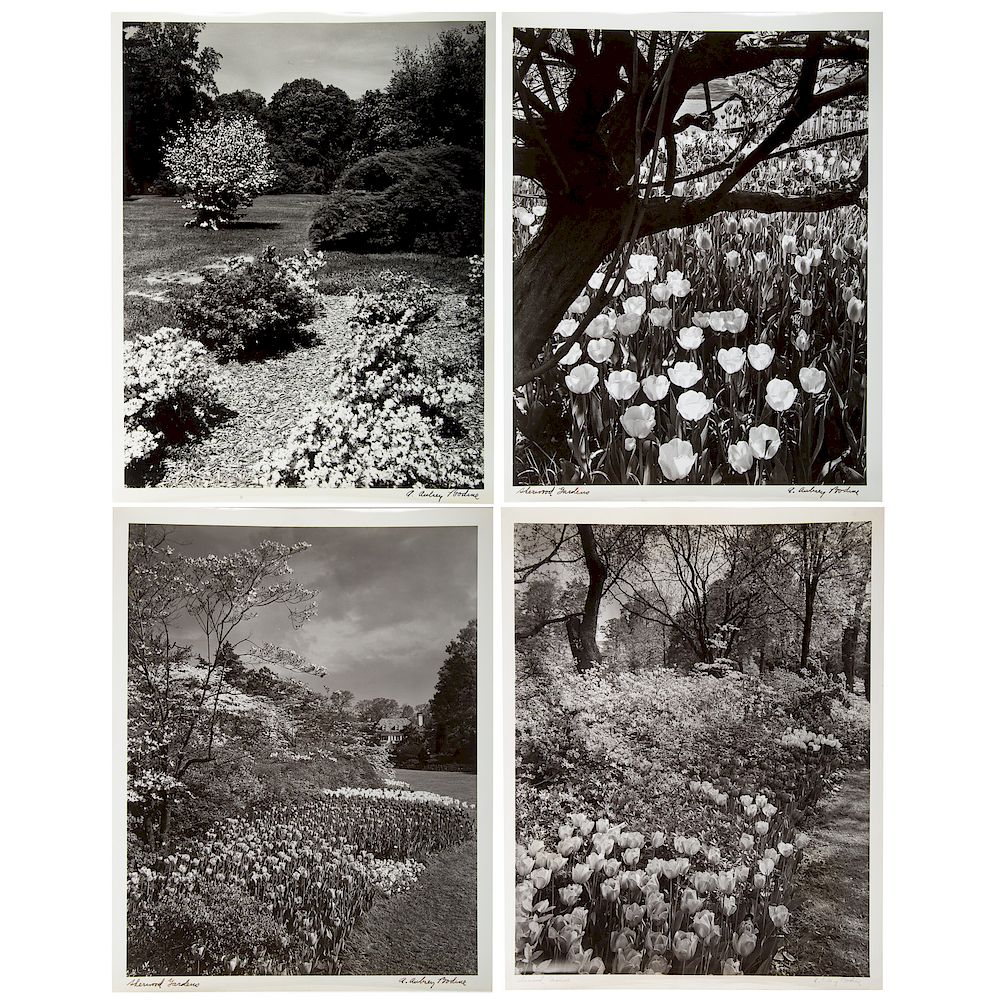 Appraisal: A Aubrey Bodine Sherwood Gardens Photos American - Gelatin silver