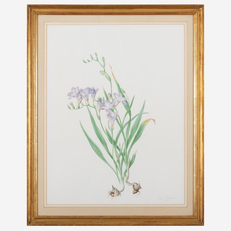 Appraisal: Jessica Tcherepnine - Fressia Cultivar Watercolor on paper signed 'Jessica