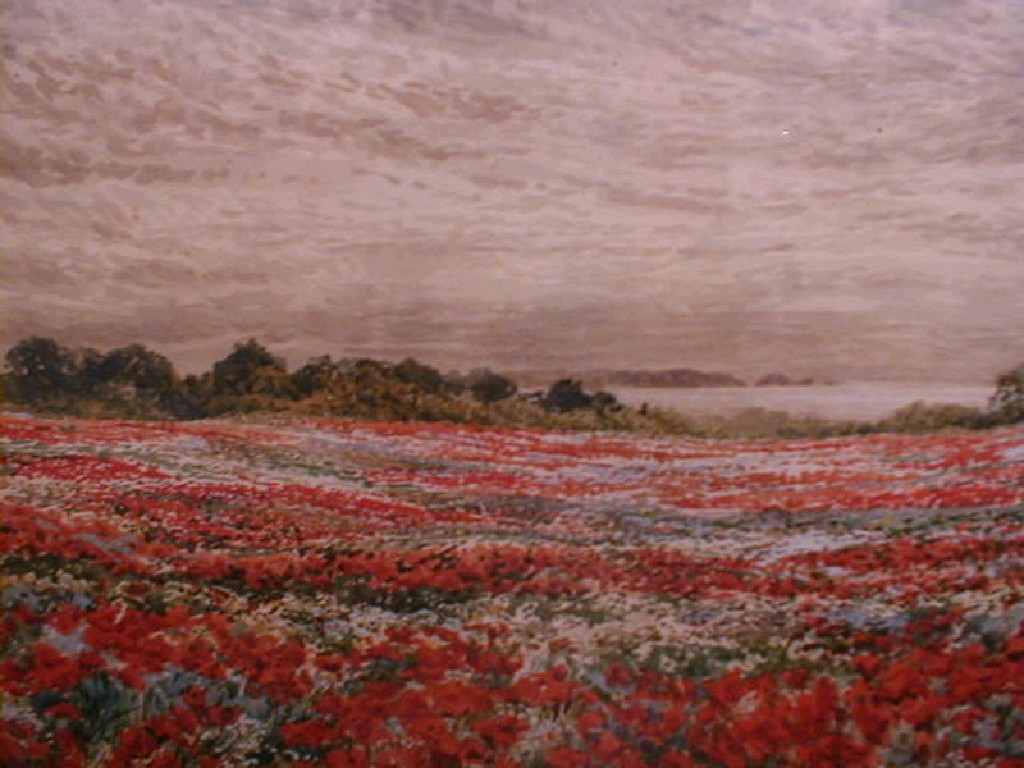 Appraisal: W Caborne Poppy fields watercolour signed x