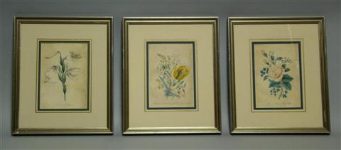 Appraisal: GROUP OF THREE BOTANICAL PRINTS Print each x in sight