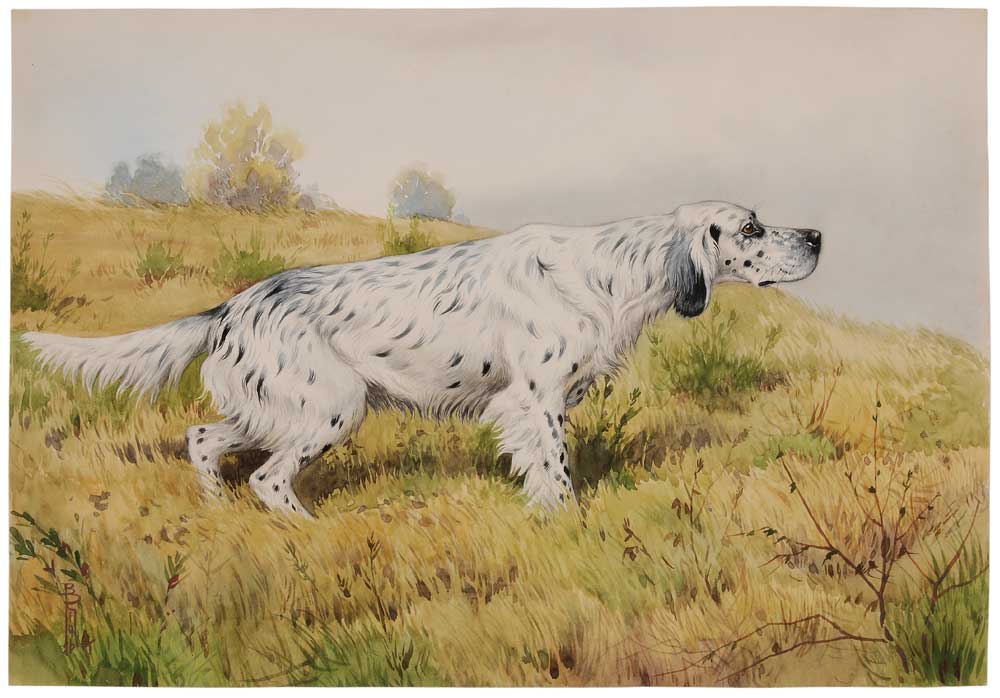 Appraisal: Boris Riab French Russian - English Setter Pointing in a