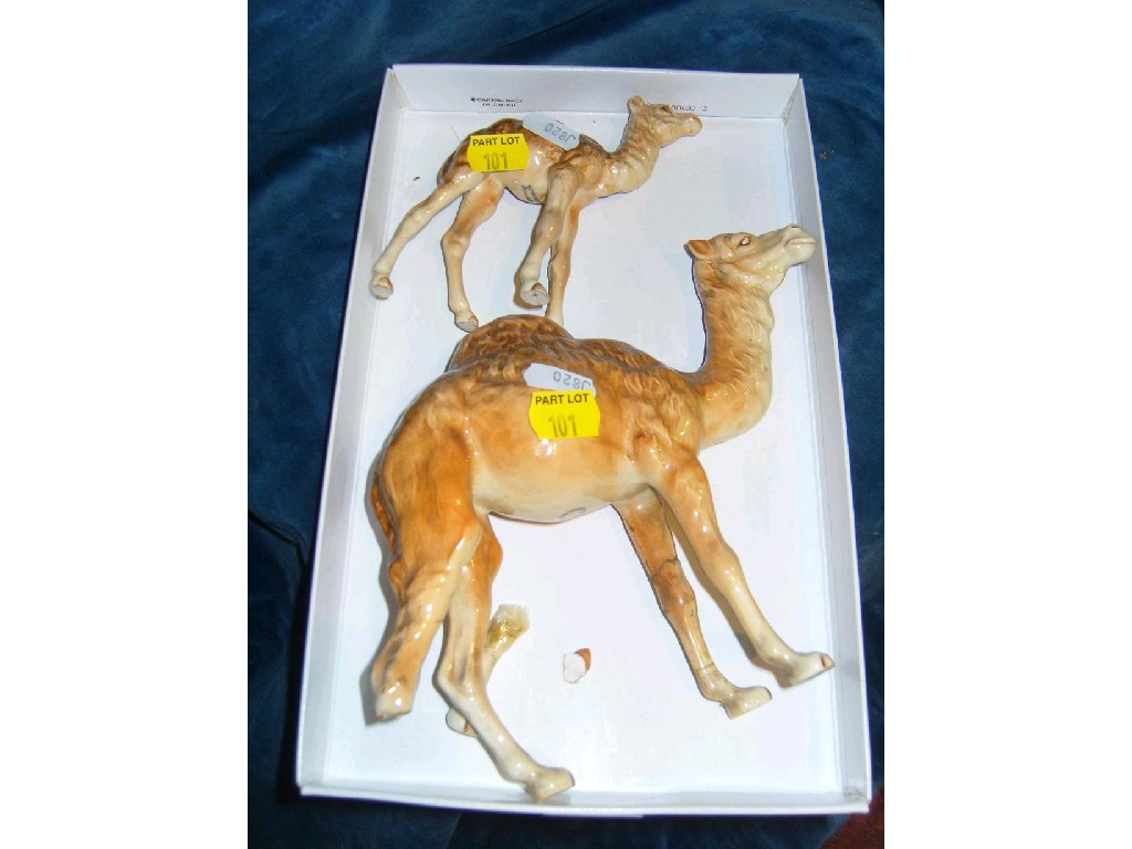 Appraisal: A Beswick model of a camel for restoration together with