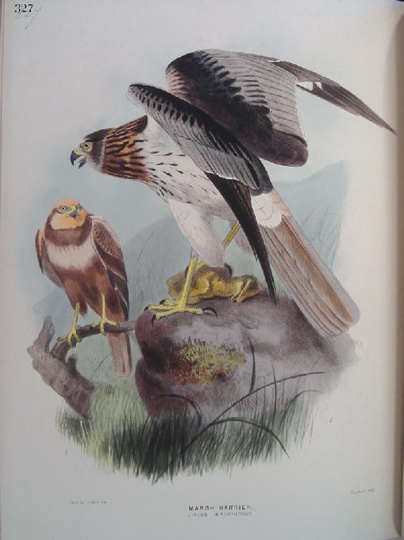 Appraisal: Dresser H E A History of the Birds of Europe