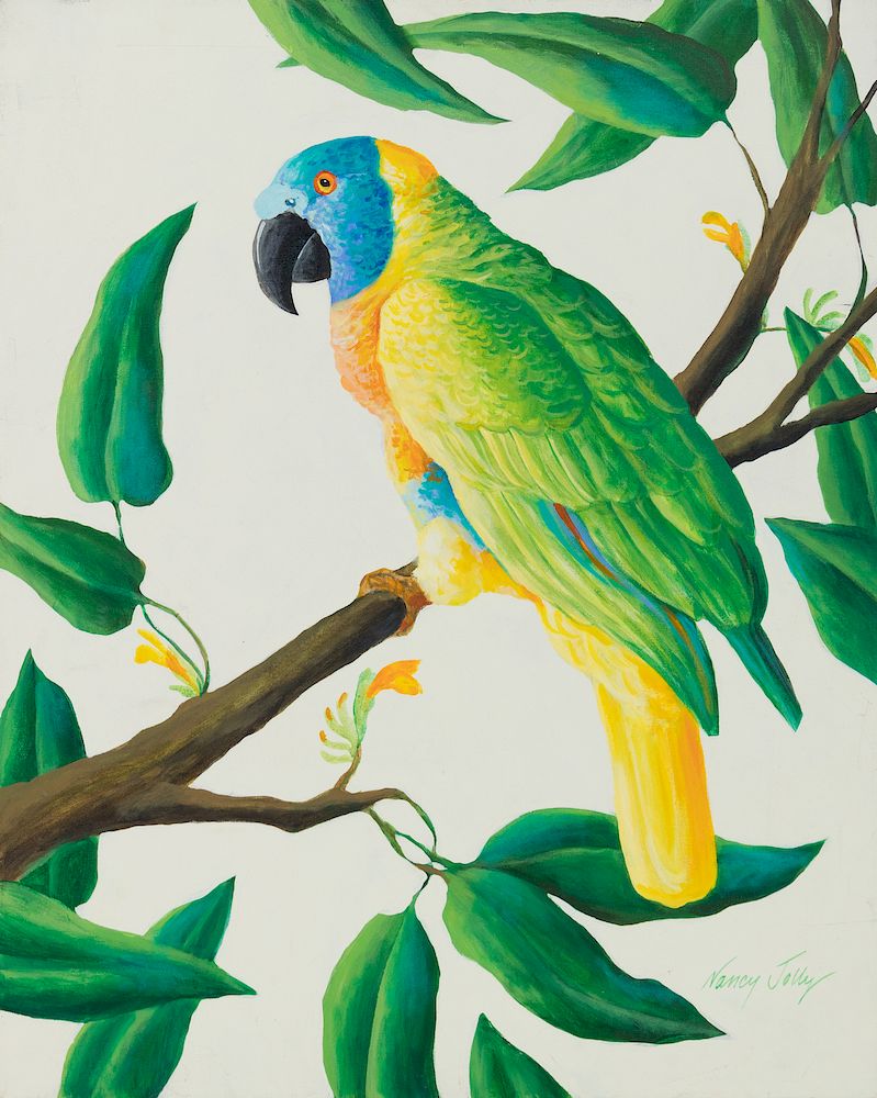 Appraisal: Nancy Jolly American b Amazon Parrot Nancy Jolly American b