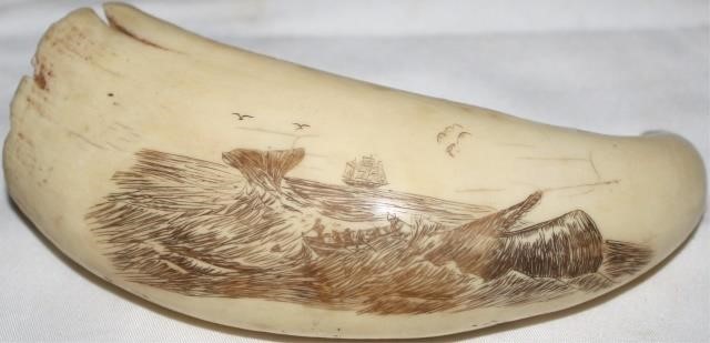 Appraisal: EARLY TH CENTURY SCRIMSHAWED WHALE S TOOTH DEPICTING A WHALE