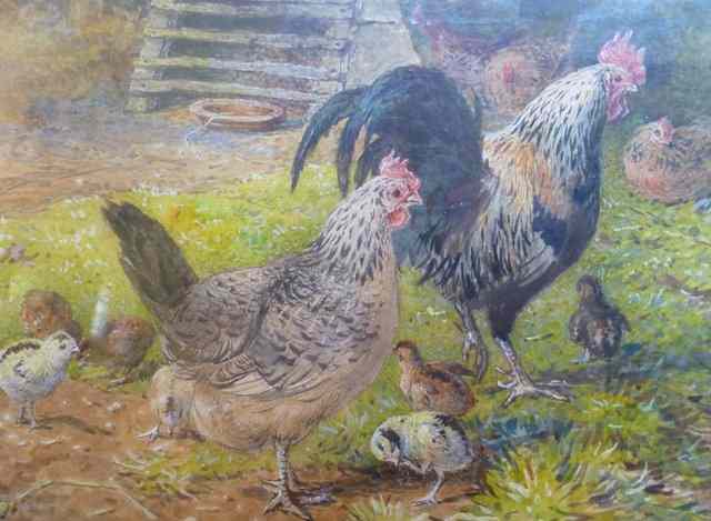 Appraisal: GEORGE ARTHUR HICKIN - Chickens looking after their chicks signed