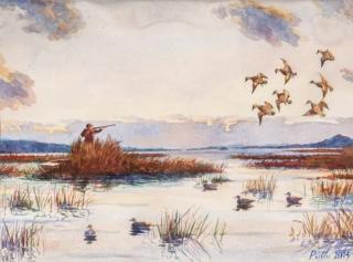 Appraisal: Adam Peiffer b Decoying Wigeon signed and dated Peiffer lower