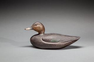 Appraisal: Black Duck Charles H Hart - Gloucester MA c This