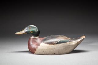 Appraisal: Mallard Drake by Mason Decoy Factory Mallard DrakeMason Decoy Factory