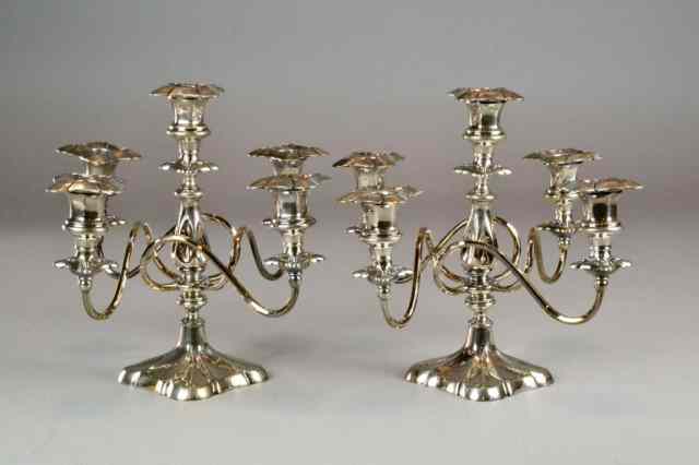 Appraisal: Pr Wilcox Silver Plate CanderlabraFinely moulded to depict intertwining stems