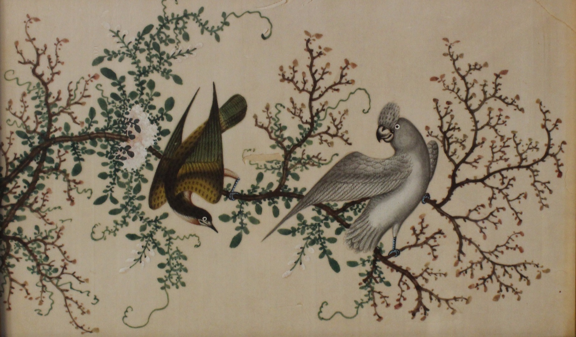 Appraisal: A group of four Chinese watercolours of birds on pith