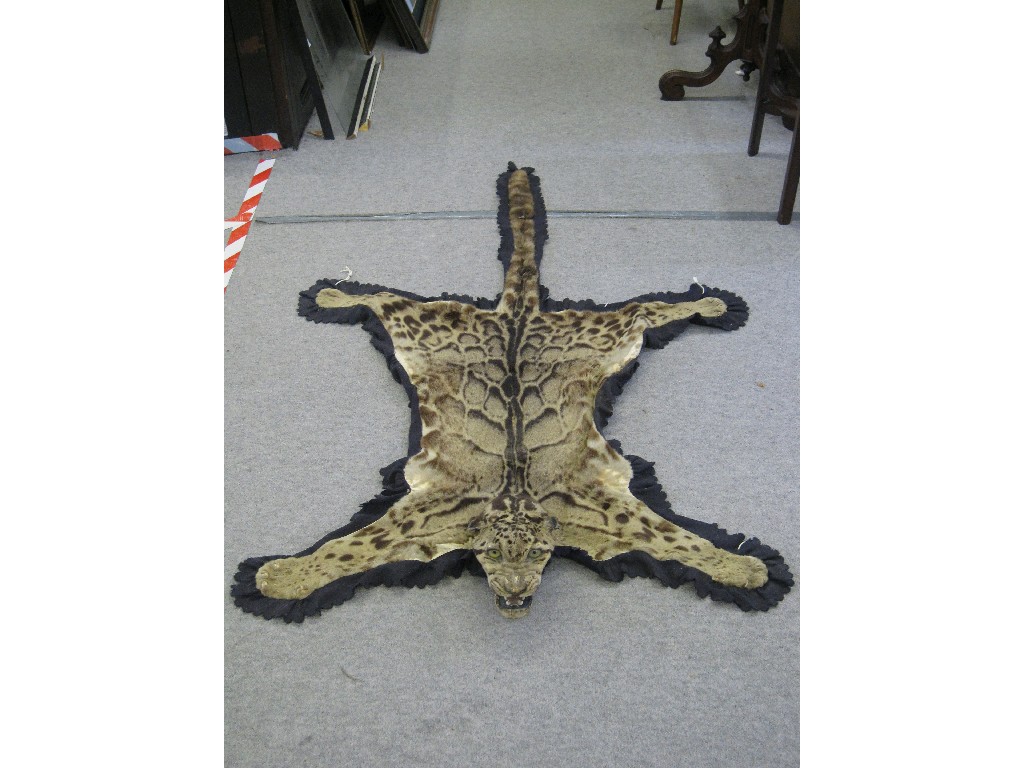 Appraisal: Leopard skin rug with head