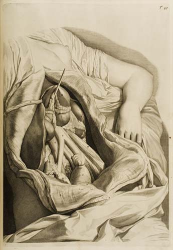 Appraisal: COWPER WILLIAM Anatomia corporum humanorum Engraved additional title and plates