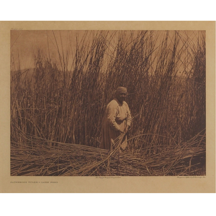 Appraisal: Edward Curtis photogravure Gathering Tules - Lake Pomo in margin