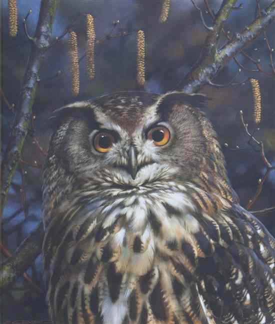 Appraisal: Carl Brenders Belgian b Owl gouache and pastel signed Brenders