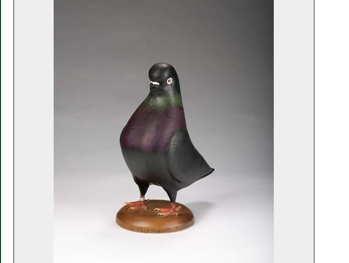 Appraisal: FOLK ART CARVED AND PAINTED FIGURE OF A PIGEON JOHN