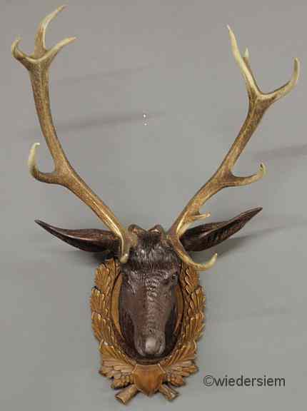 Appraisal: Black Forest carved stag head late th c with glass