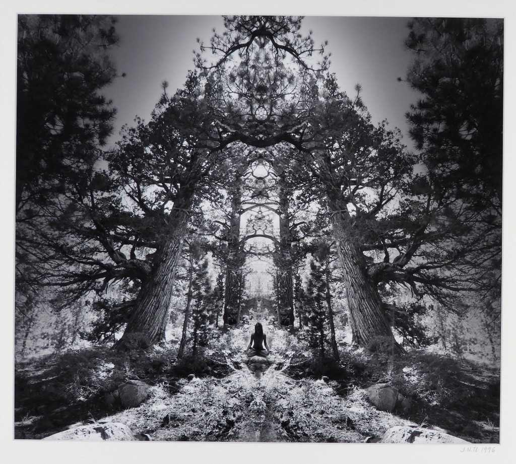 Appraisal: JERRY UELSMANN SURREAL REDWOOD PAGODA PHOTOGRAPH Michigan b Untitled Silver