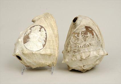 Appraisal: Two Cameo Carved Conch Shells to x in