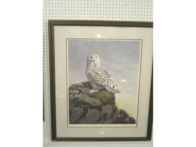 Appraisal: Blackweld Owl Lithograph Artic Spring signed numbered