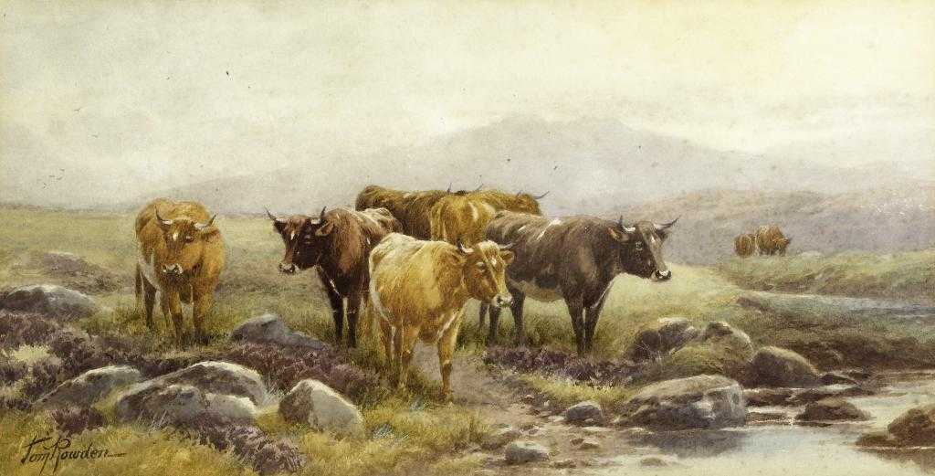 Appraisal: THOMAS ROWDEN - CATTLE ON DARTMOOR signed watercolour heightened with