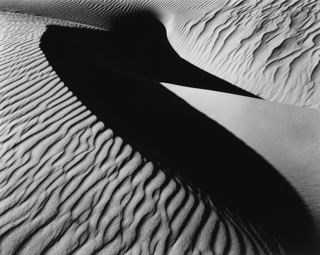 Appraisal: BRETT WESTON - Bird Dune Oceano Silver print the image