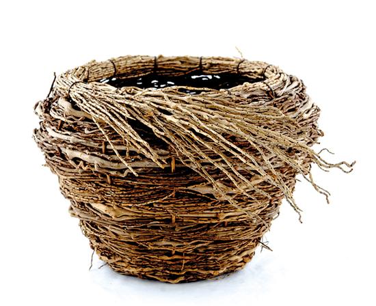 Appraisal: Unique curly willow basket Native American th century flared bowl