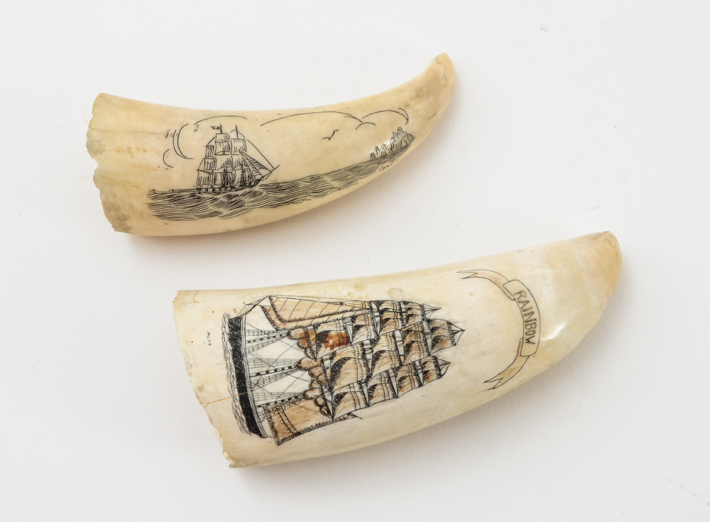 Appraisal: PIECE SCRIMSHAW WHALES TEETH pieces total to include Detailed depiction