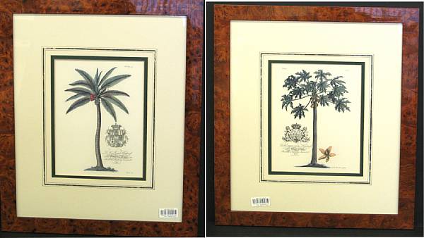 Appraisal: A set of four colored prints of tropical trees framed