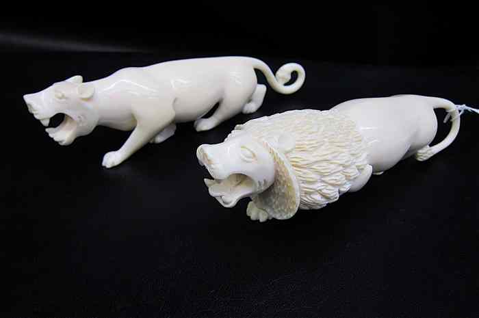 Appraisal: TWO AFRICAN CARVED IVORY LIONS a full maned male length