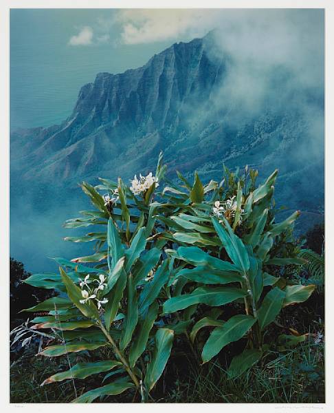 Appraisal: Joseph Holmes American Yellow Ginger Kalalau Valley Kaua'i Cibachrome print