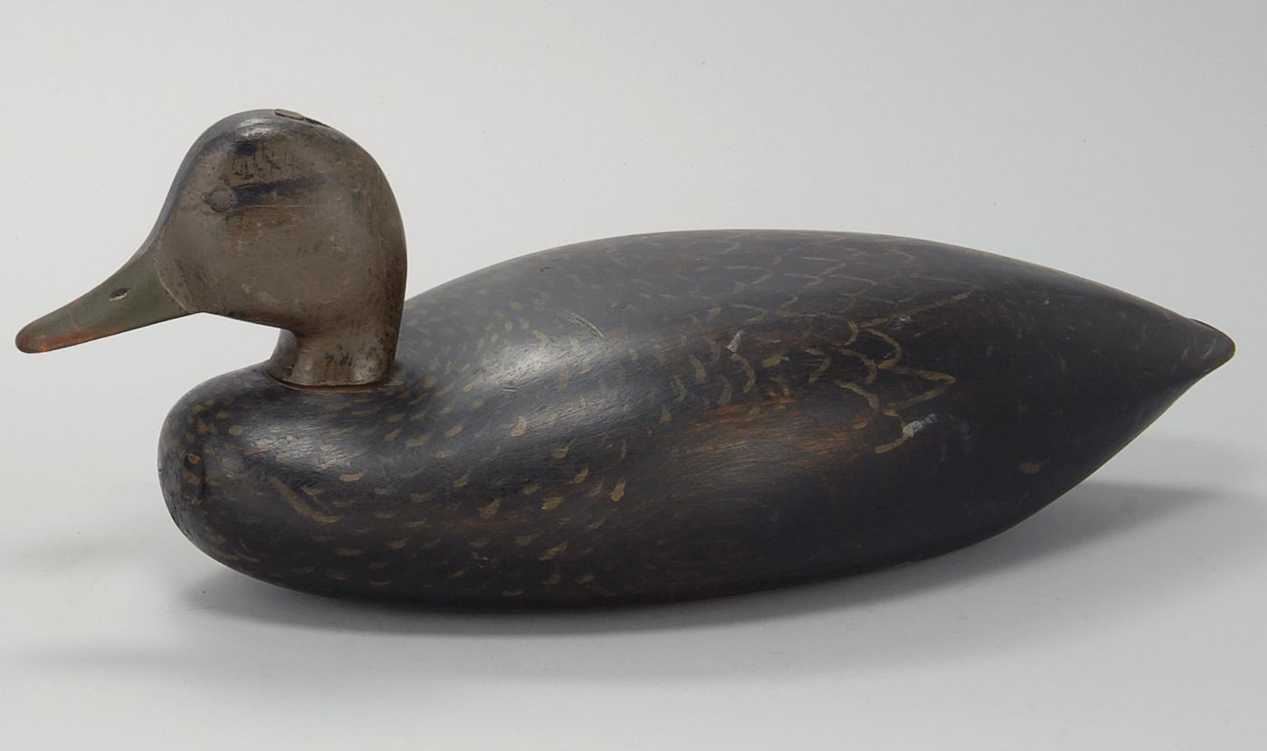 Appraisal: BLACK DUCK DECOY From Southeastern Massachusetts Maker unknown Tack eyes