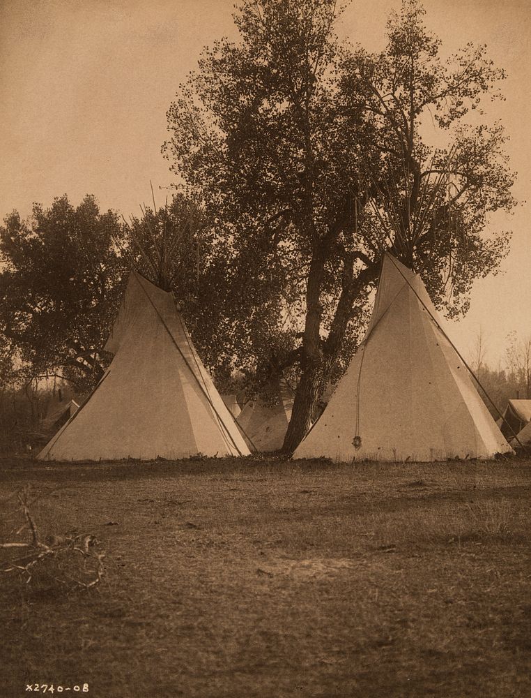 Appraisal: Edward Curtis Camp Under the Cottonwoods - Crow Montana Edward