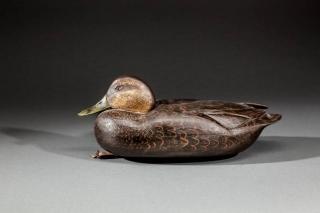 Appraisal: Black Duck Joe Morgan - Holland PAc A hollow resting