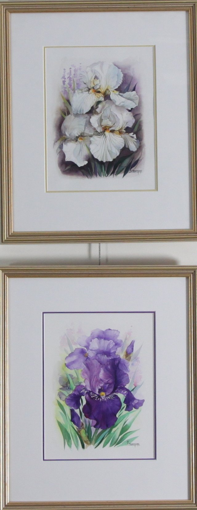 Appraisal: Jacqueline Legendre Irises a pair signed lower left watercolour cm