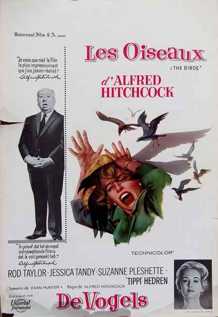 Appraisal: THE BIRDS Universal Hitchcock starring Rod Taylor Belgian poster