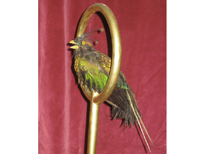 Appraisal: CONTINENTAL TH CENTURY AUTOMATON Life size mechanical singing bird with