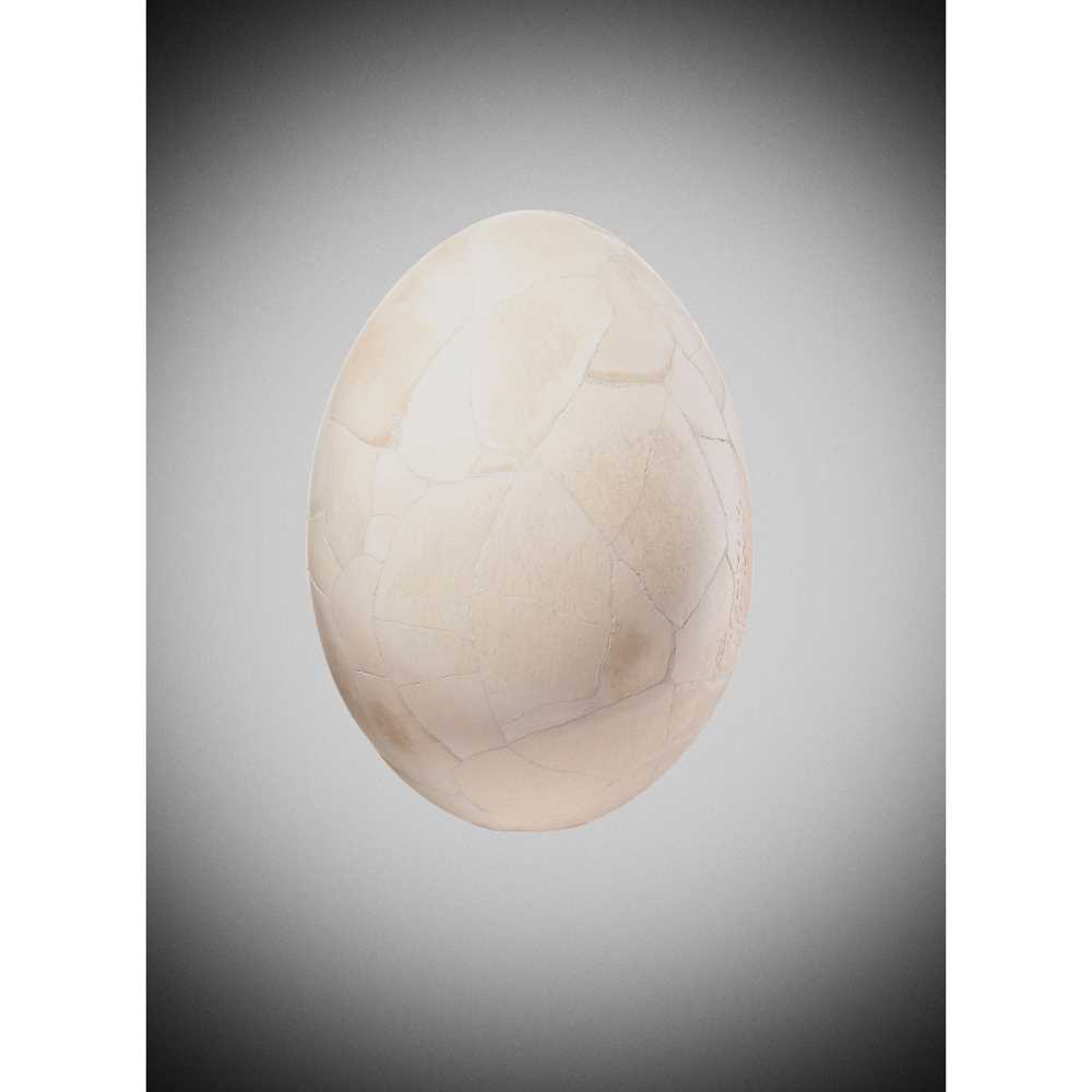 Appraisal: ELEPHANT BIRD EGG MADAGASCAR PLEISTOCENE PERIOD a composite with a