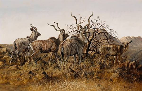 Appraisal: Gary R Swanson American born Kudus in the brush signed