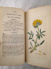 Appraisal: English Botany Volume II by James Sowerby printed by J