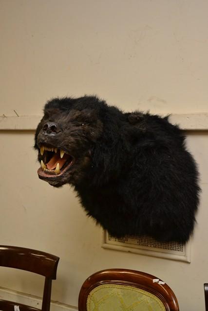 Appraisal: A FAUX TAXIDERMIED BLACK BEAR IN ATTACK POSE