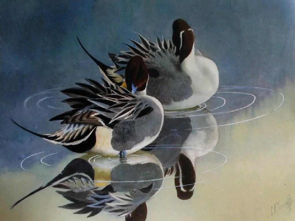 Appraisal: CHARLES FREDERICK TUNNICLIFFE - TWO SIGNED LIMITED EDITION COLOUR PRINTS