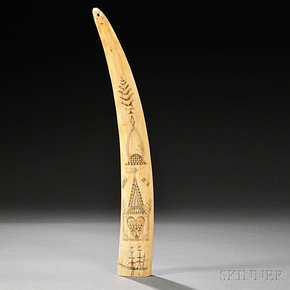 Appraisal: Scrimshaw-decorated Walrus Tusk America th century decorated with geometric designs