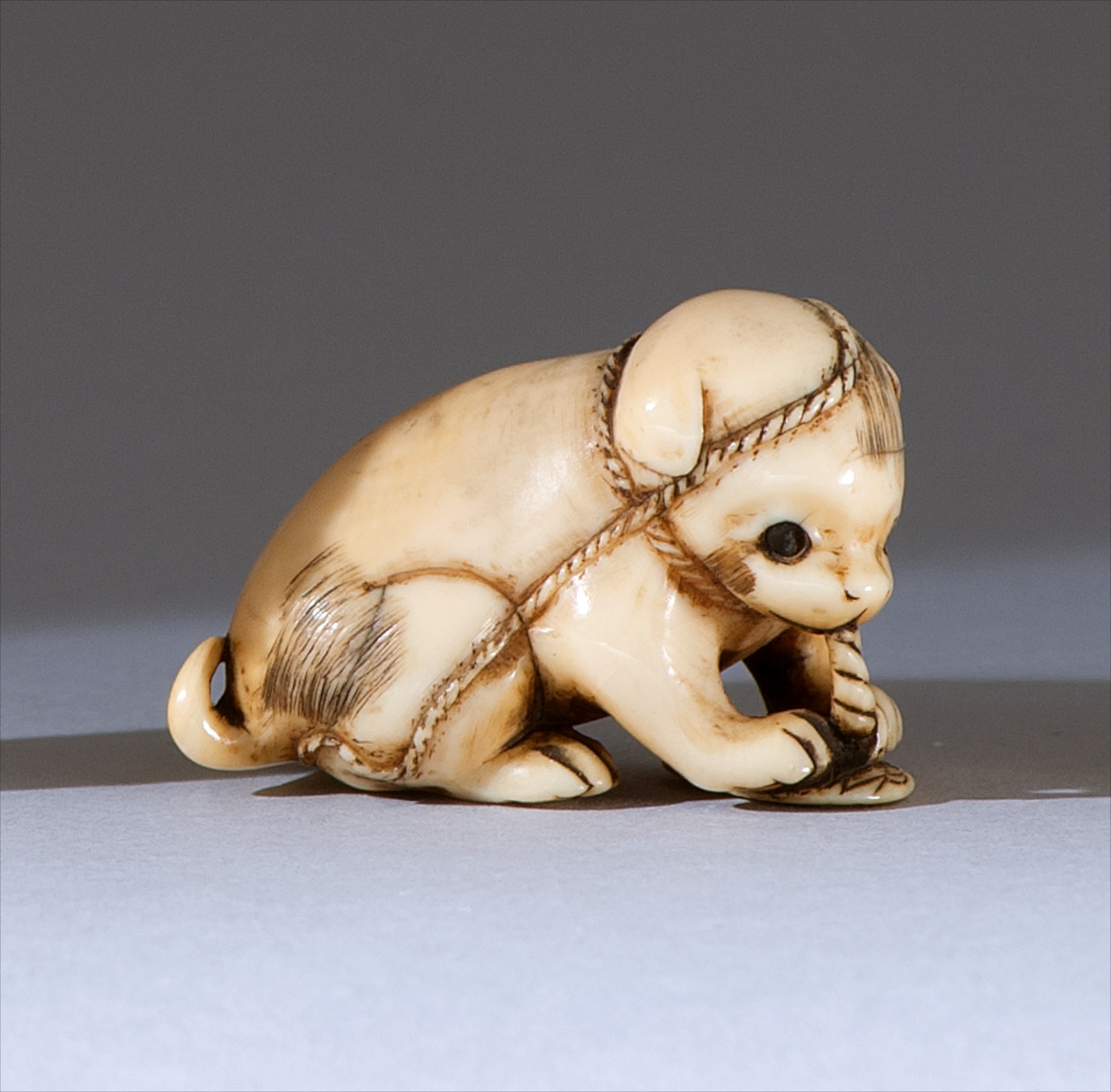 Appraisal: IVORY NETSUKE Early th CenturyIn the form of a puppy