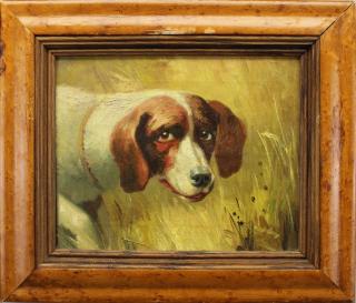 Appraisal: Portrait of a Hound Bird's Eye Maple Frame Portrait of