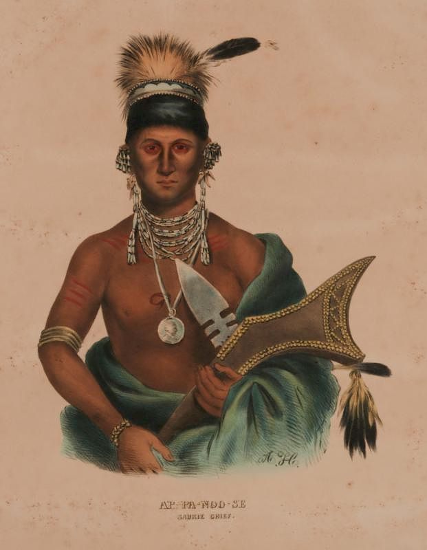 Appraisal: PORTRAIT OF AP-PA-NOO-SE FOR MCKENNEY AND HALL'S Hand colored stone