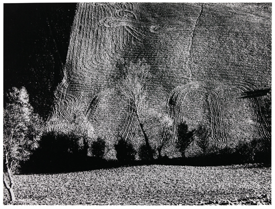 Appraisal: GIACOMELLI MARIO - Untitled from the Paesaggio series Silver print