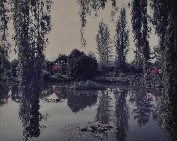 Appraisal: STEPHEN SHORE b GIVERNY POND REFLECTION Cibachrome print x in