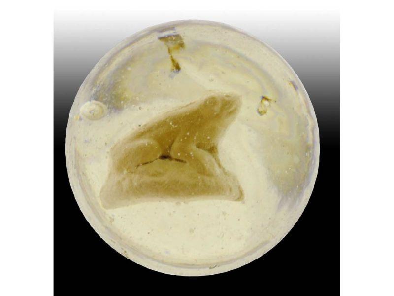 Appraisal: Lot of Animal Sulfide Marbles Description - '' - ''