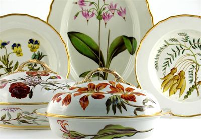 Appraisal: A good Derby botanical part dinner service each piece finely